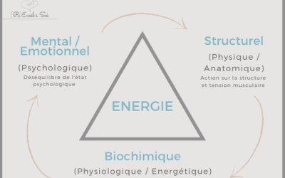 Kinésiologie : L’équilibre du corps, le Triangle de la santé