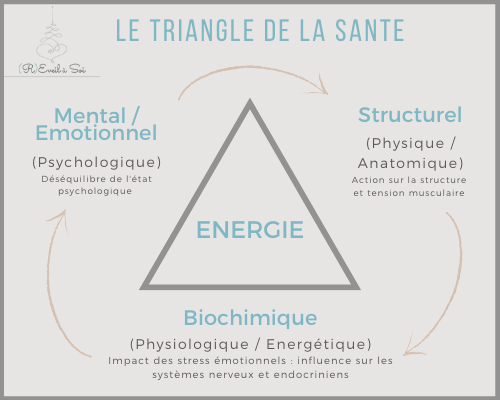 Le triangle de la santé de la kinésiologie en 3 points. Le point structurel. Le point biochimique. Le point mental.