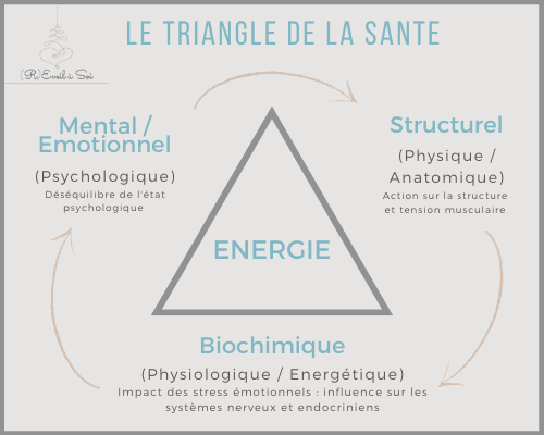 Kinésiologie : L’équilibre du corps, le Triangle de la santé